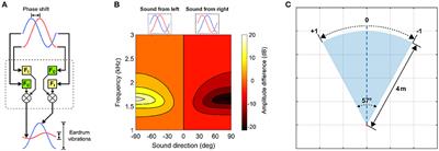 Learning multisensory cue integration: A computational model of crossmodal synaptic plasticity enables reliability-based cue weighting by capturing stimulus statistics